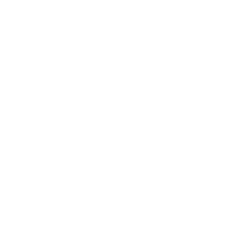 Infrastructure Dynamics