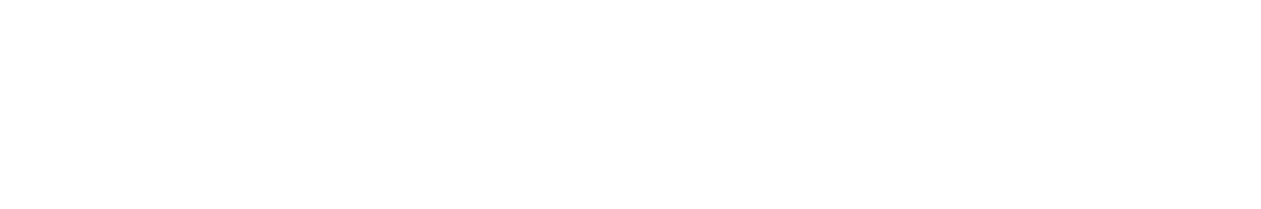 Infrastructure Dynamics