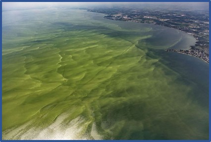 Wastewater challenges